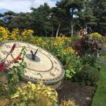 Herbacious border at Lowther Gardens