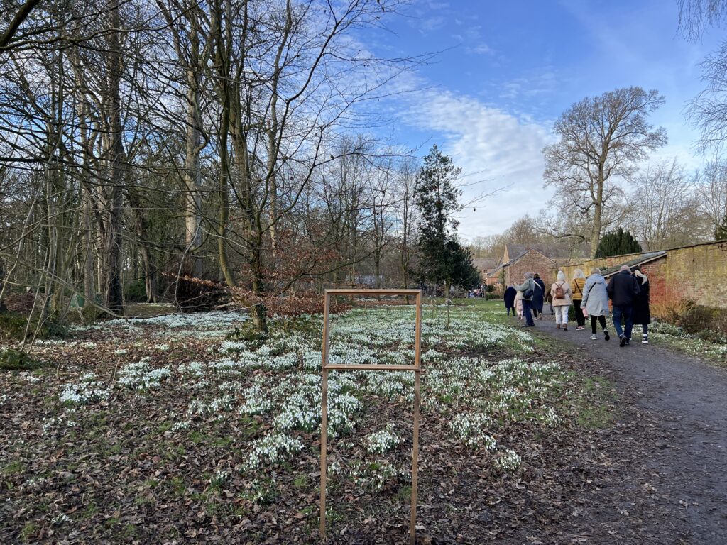 Snowdrop season at Lytham Hall
